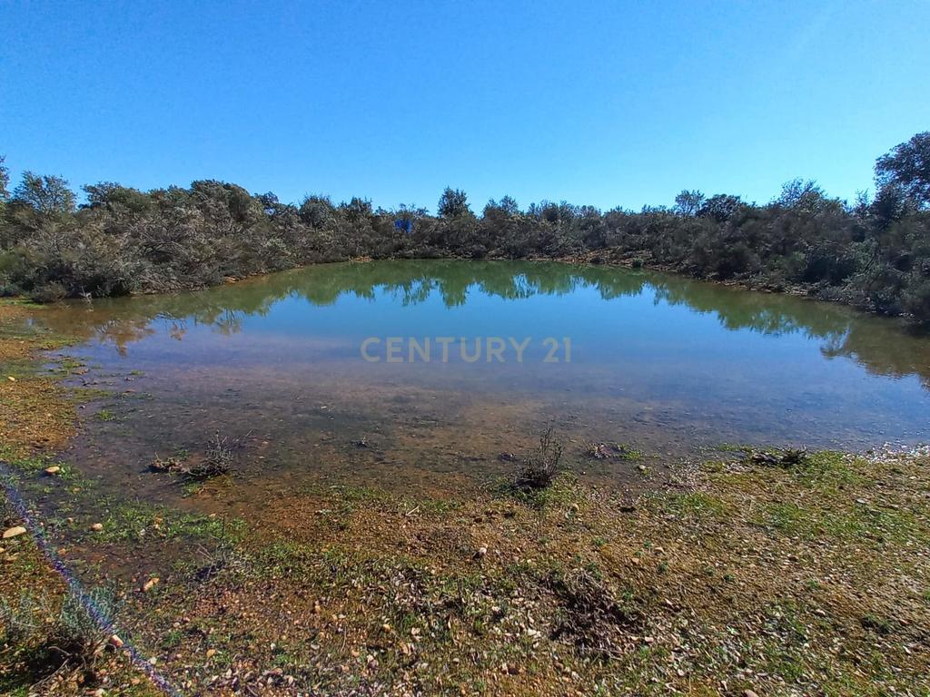 undefined - Image 2