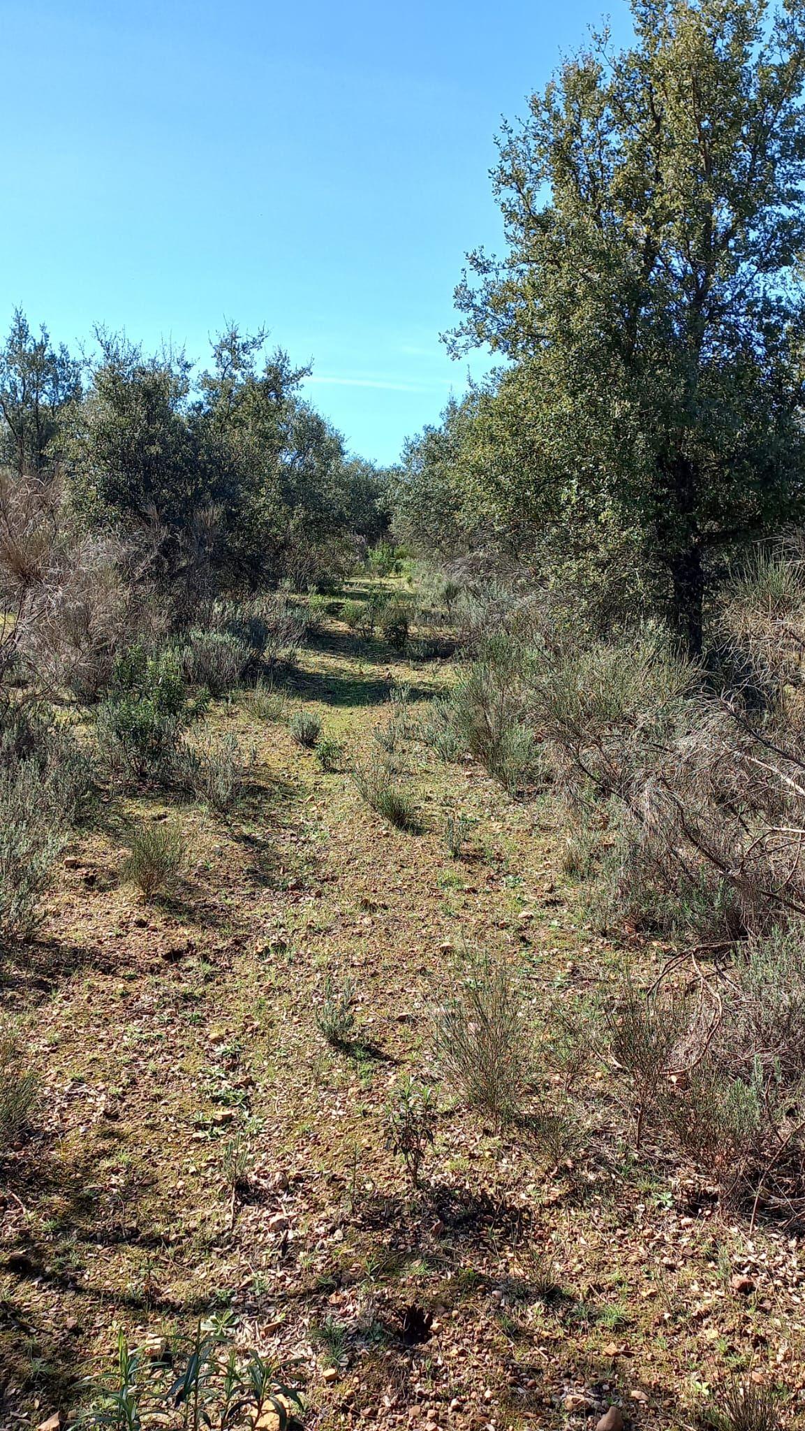 undefined - Image 13