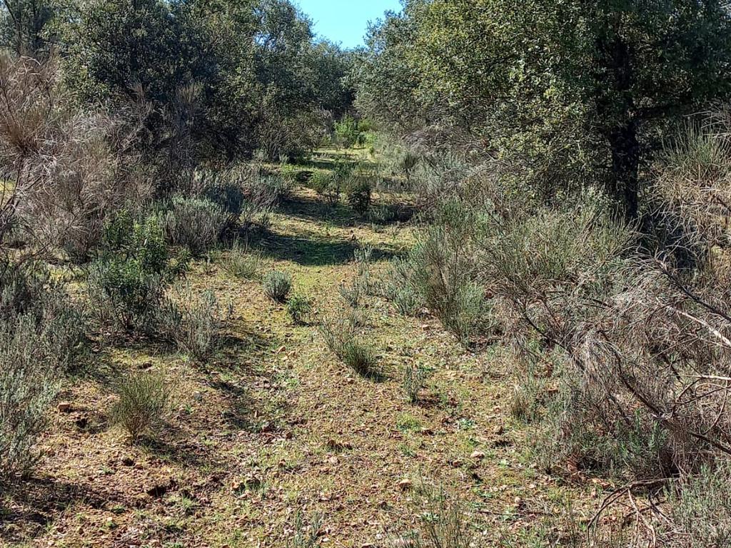 undefined - Image 13