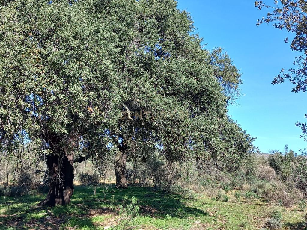 undefined - Image 5