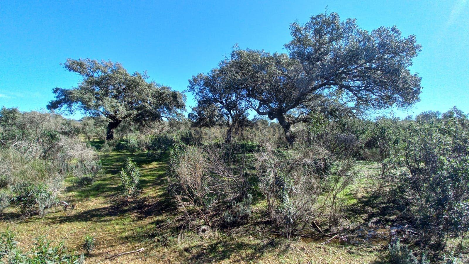 undefined - Image 20