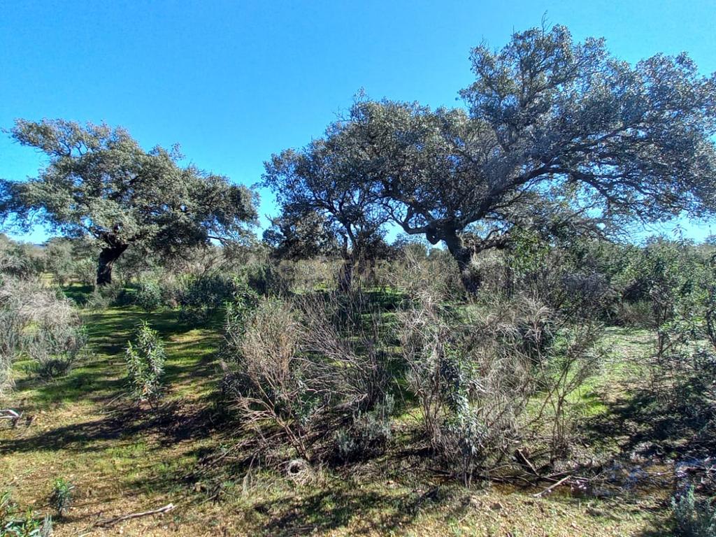 undefined - Image 20