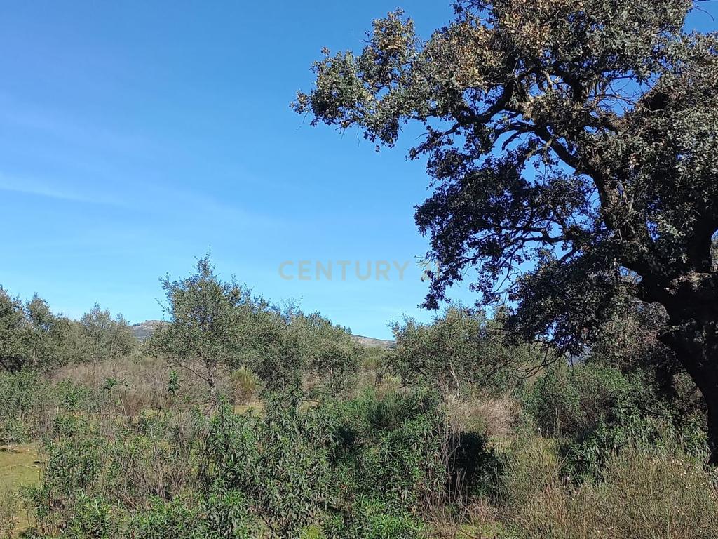 undefined - Image 12