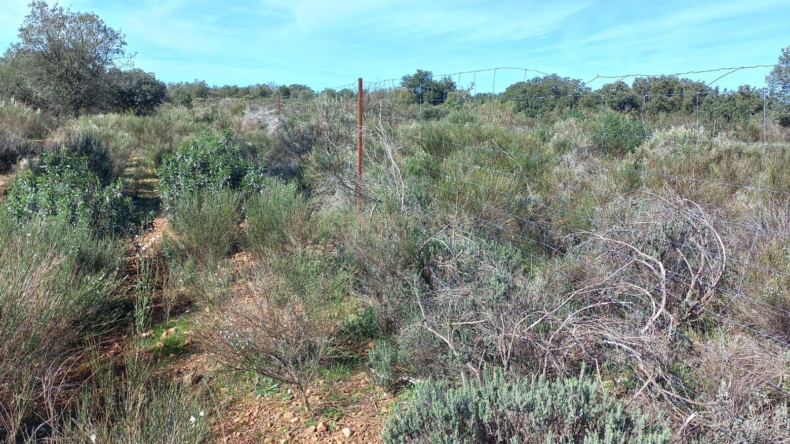 undefined - Image 14