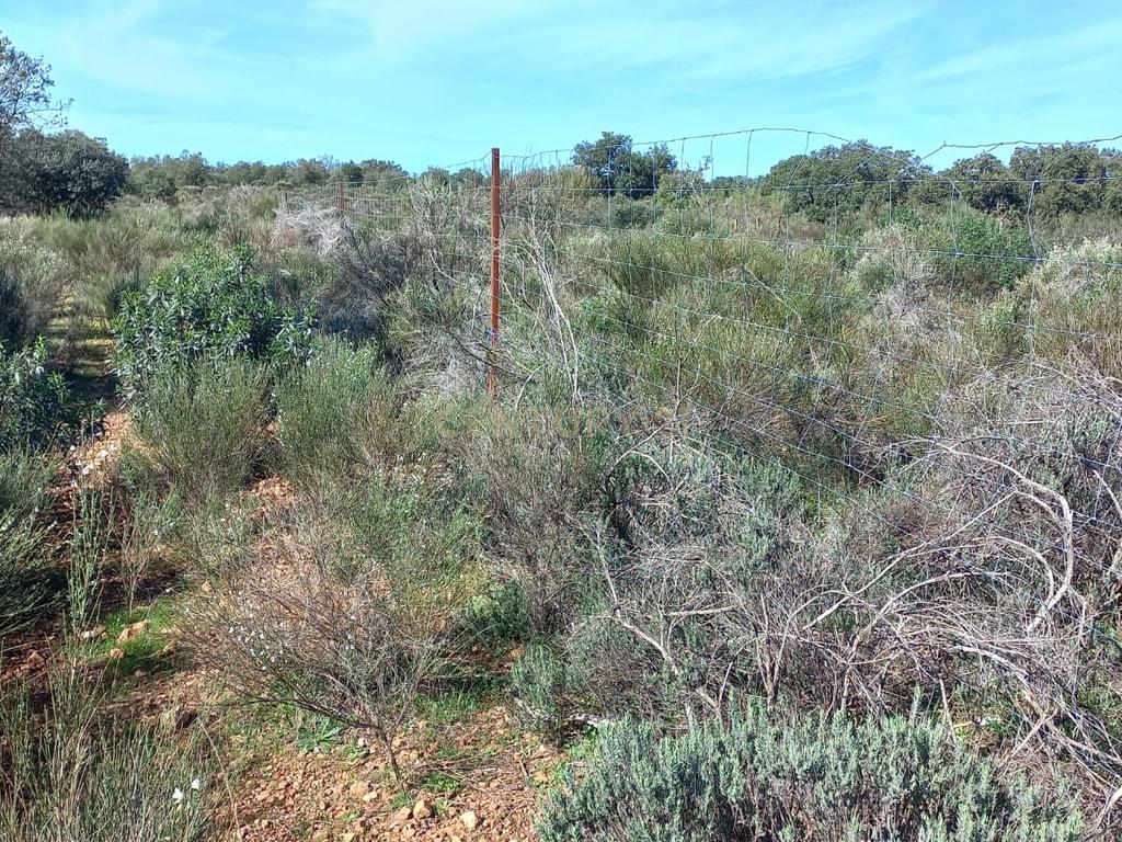 undefined - Image 14