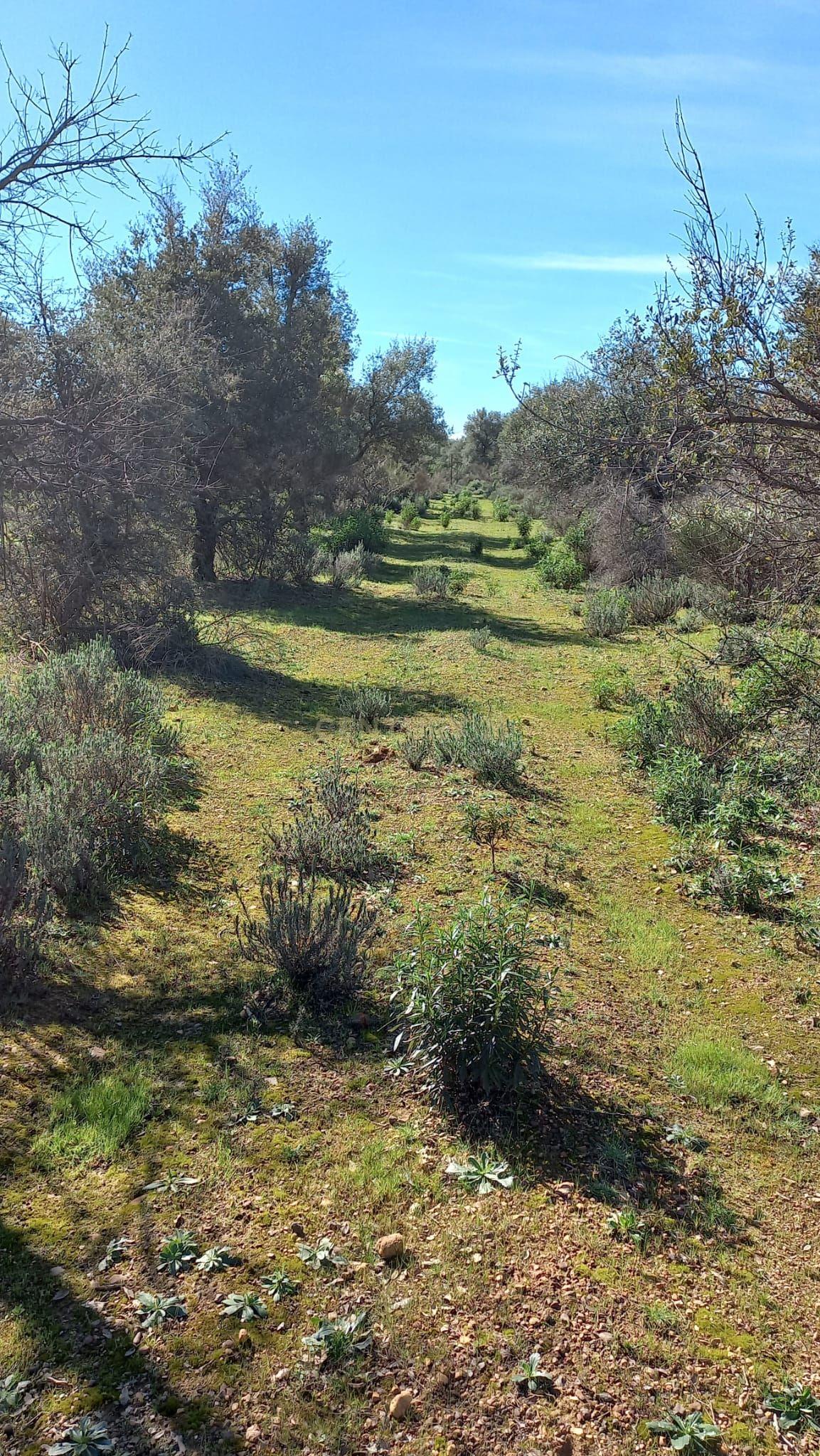 undefined - Image 15