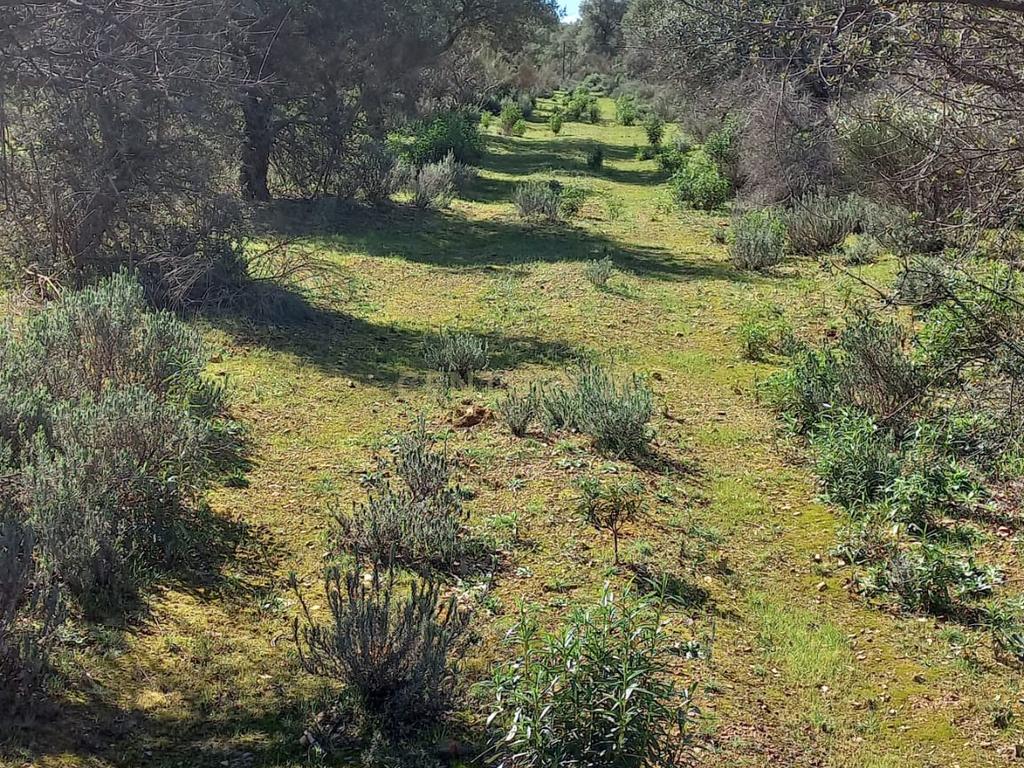 undefined - Image 15