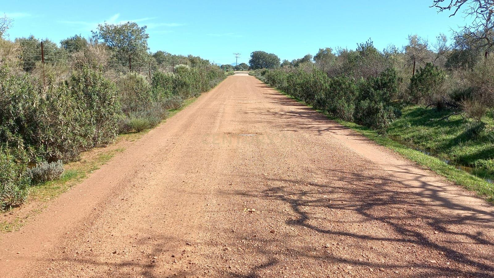 undefined - Image 18