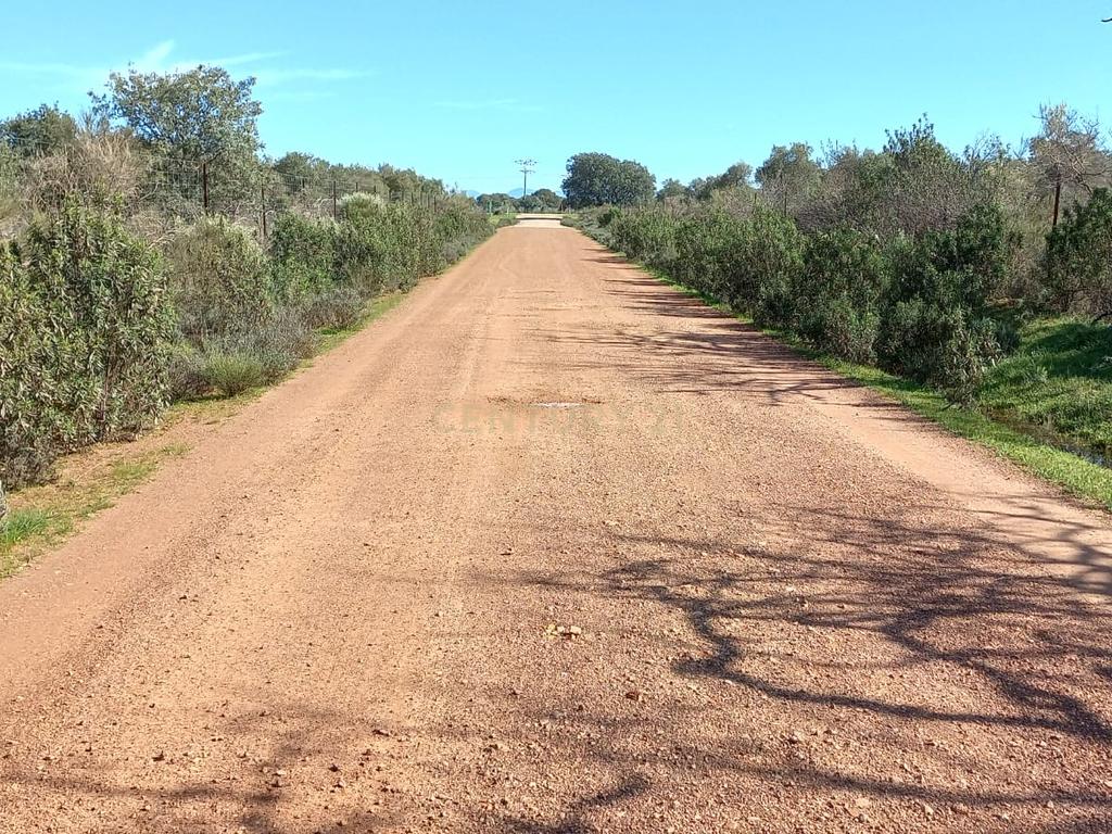 undefined - Image 18