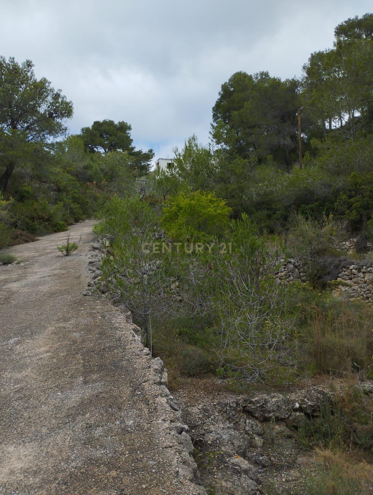 undefined - Image 4