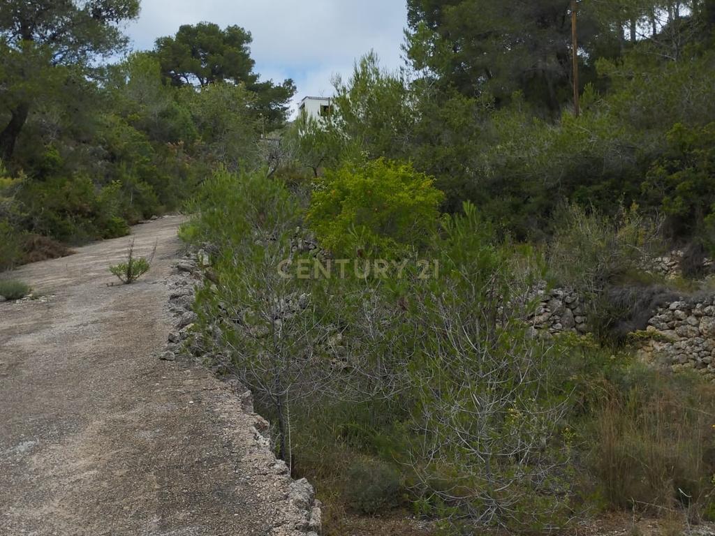 undefined - Image 4