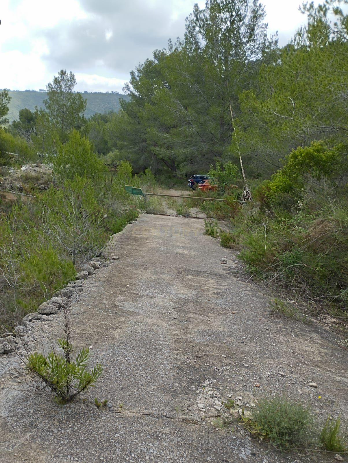 undefined - Image 6