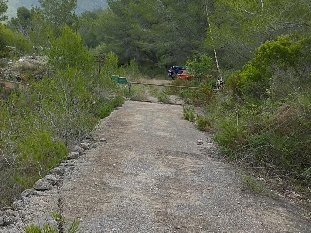 undefined - Image 6