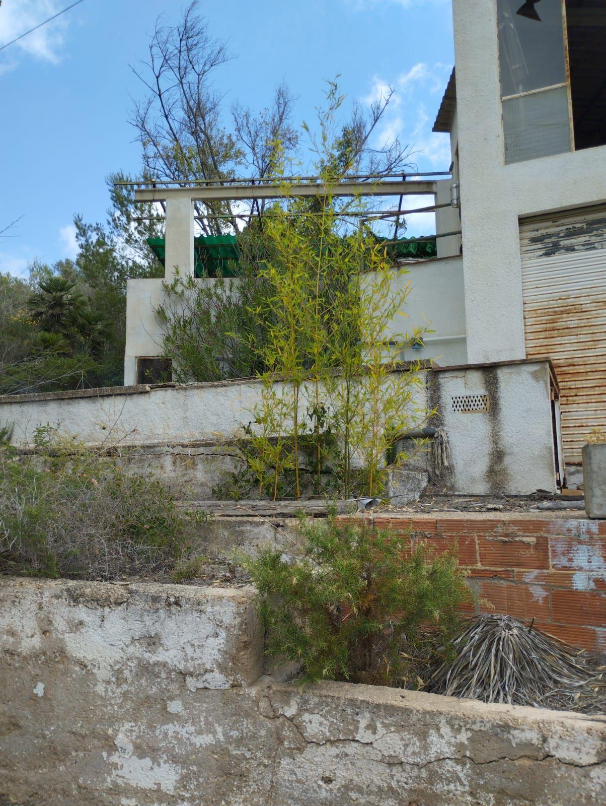 undefined - Image 19