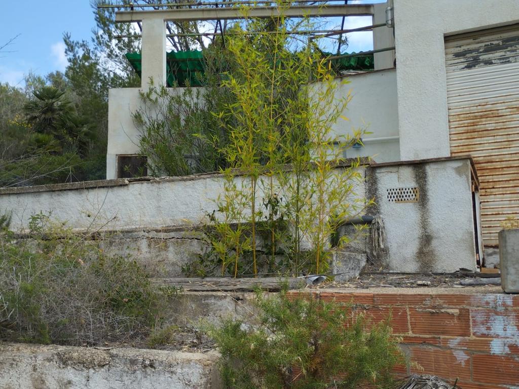 undefined - Image 19