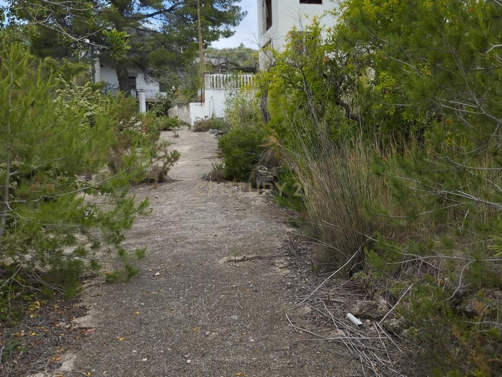 undefined - Image 32