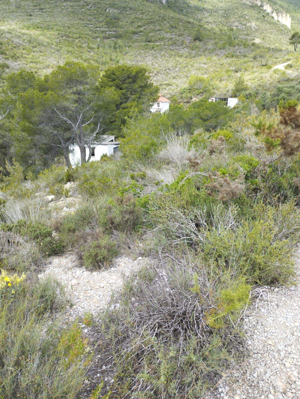 undefined - Image 35