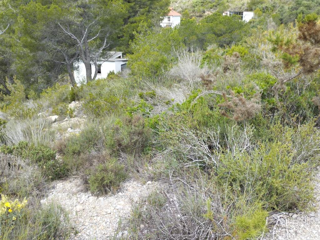undefined - Image 35