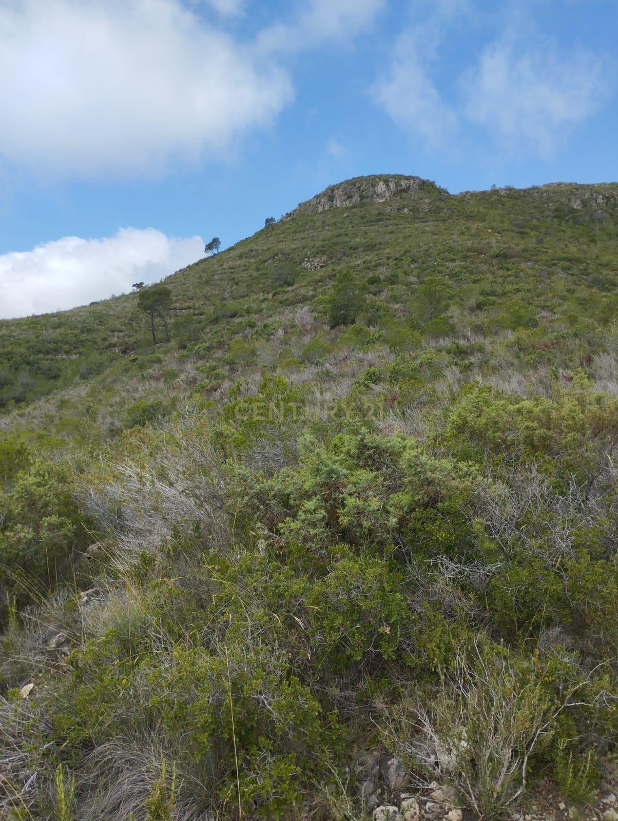 undefined - Image 15