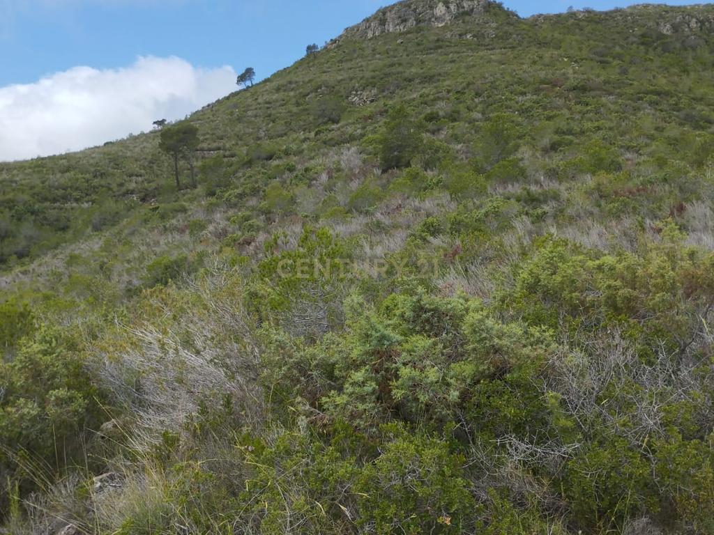 undefined - Image 15