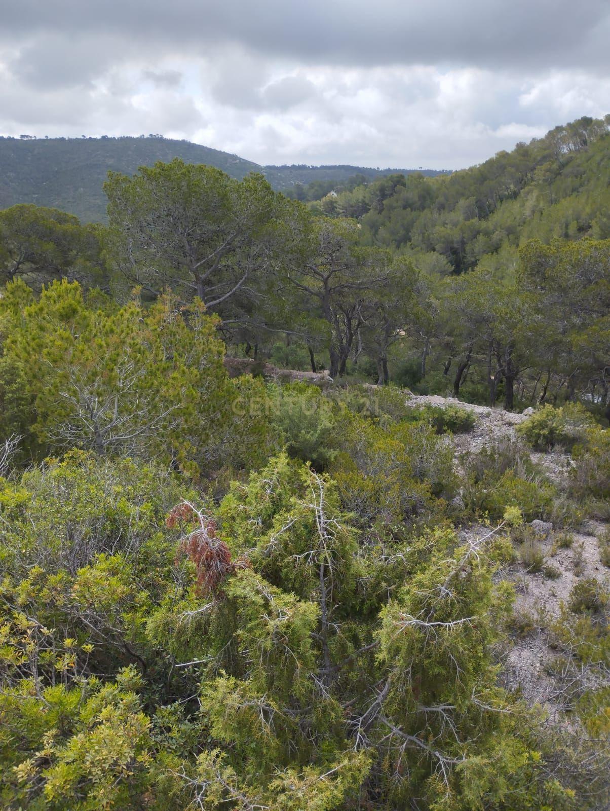 undefined - Image 13