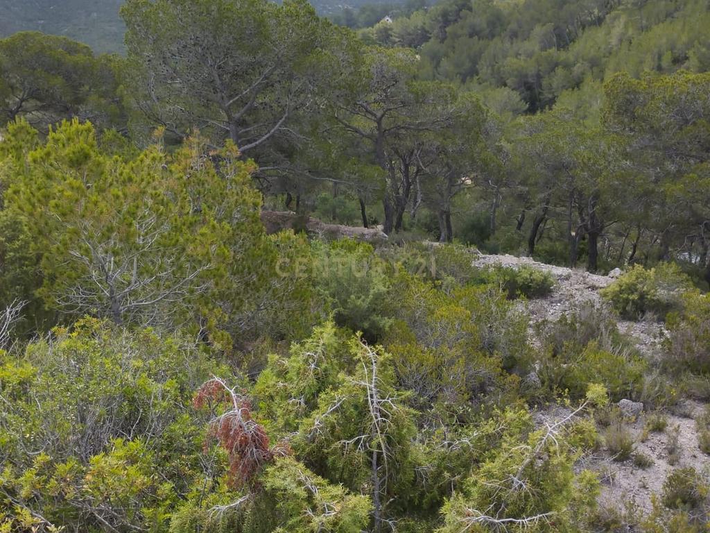 undefined - Image 13