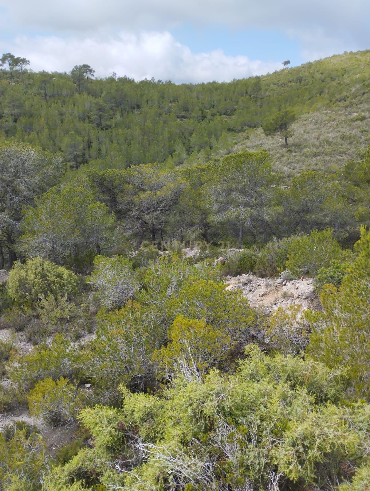 undefined - Image 41