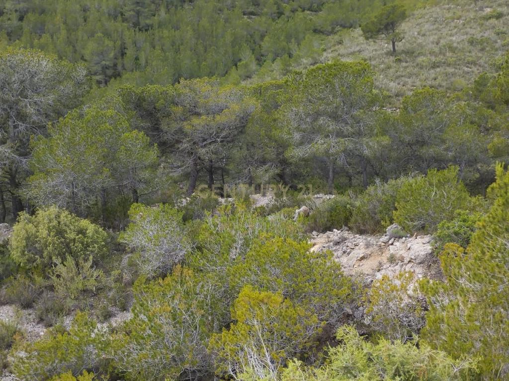 undefined - Image 41
