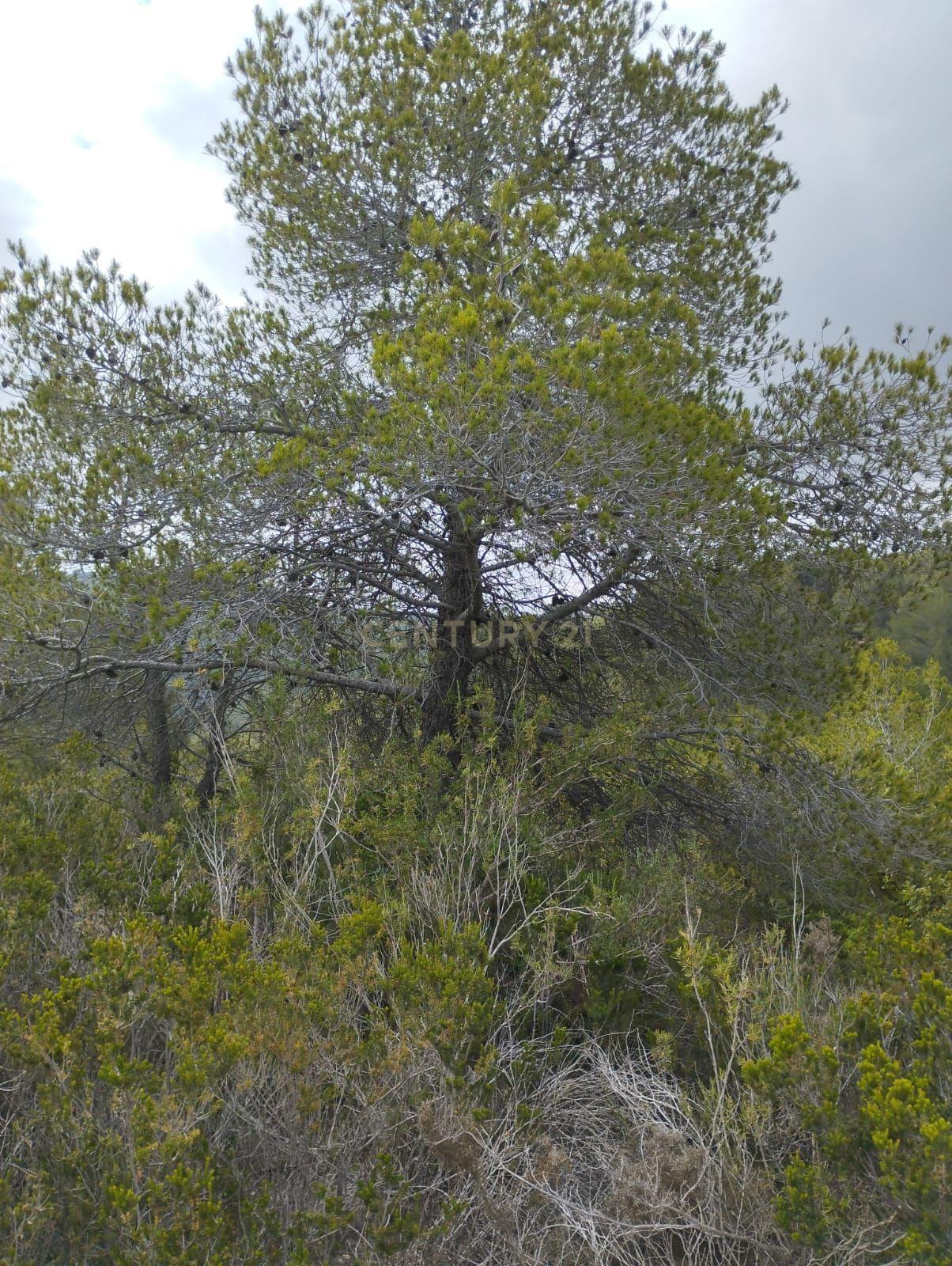 undefined - Image 14