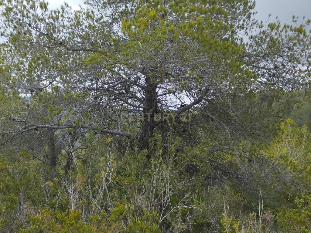 undefined - Image 14