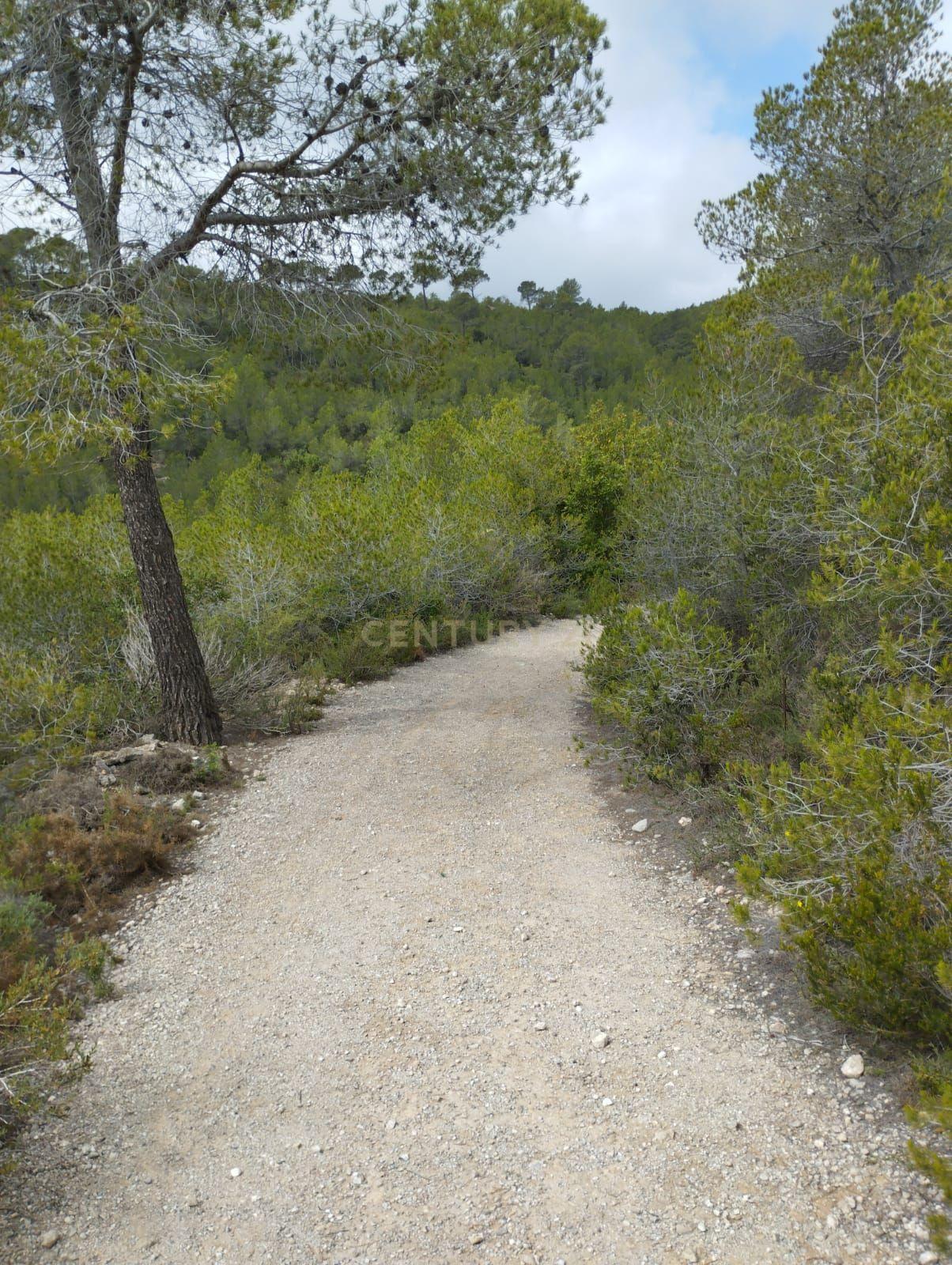 undefined - Image 10