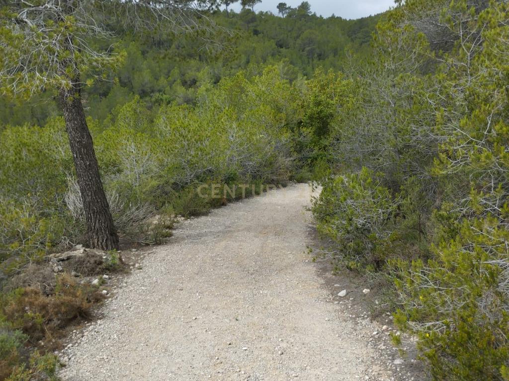 undefined - Image 10