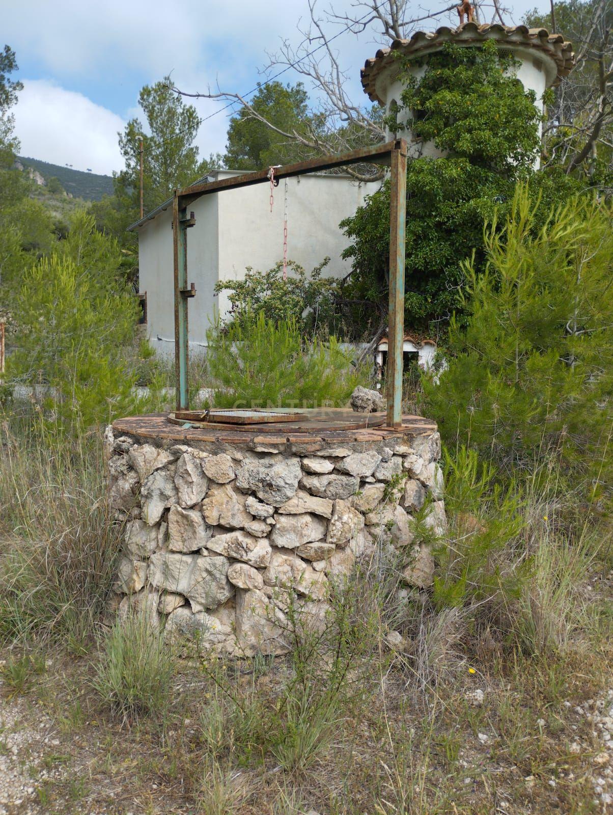 undefined - Image 37