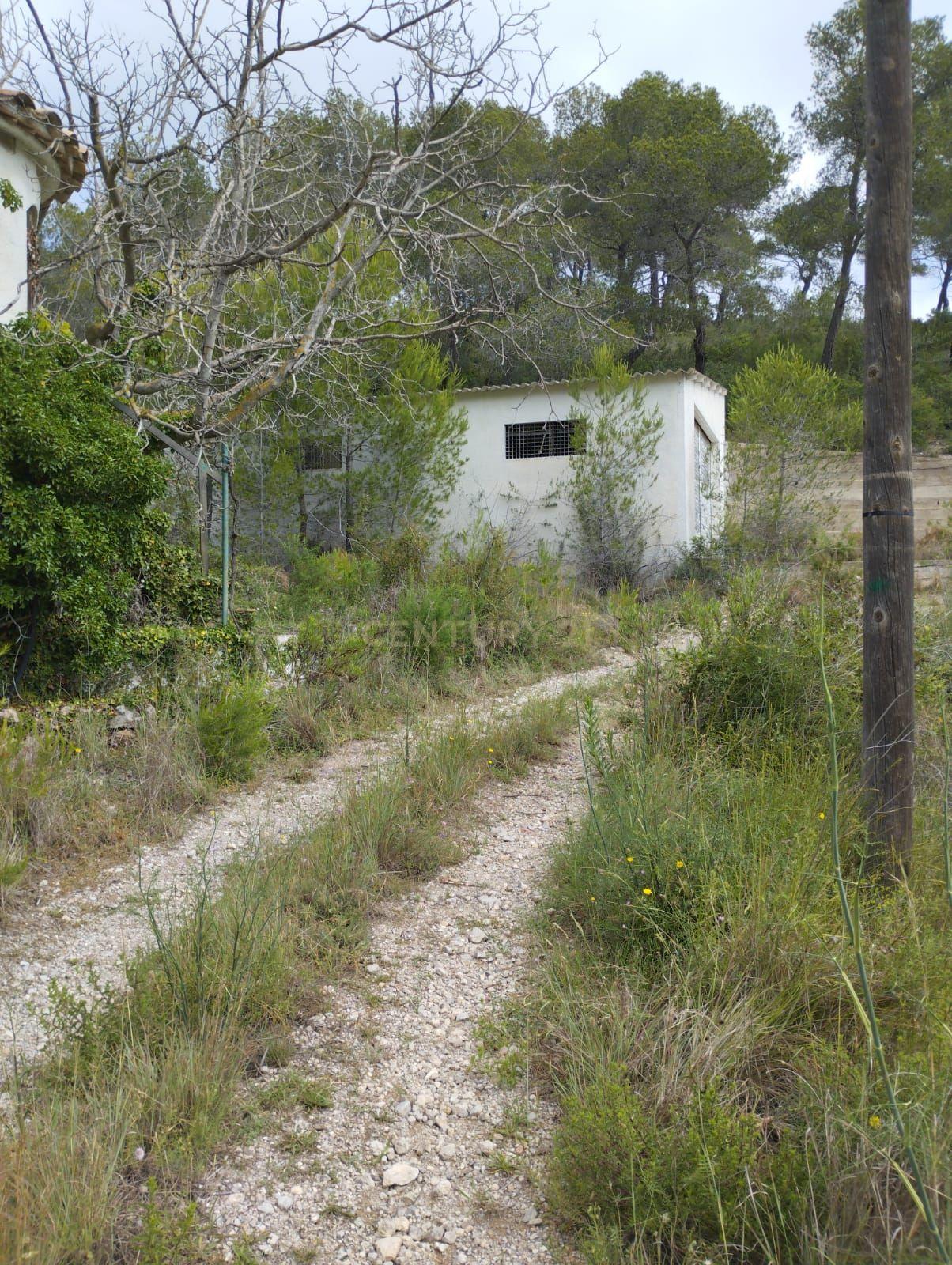 undefined - Image 8