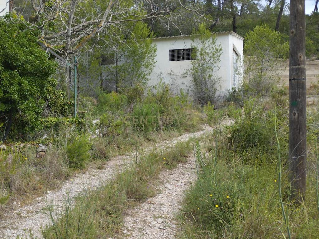 undefined - Image 8