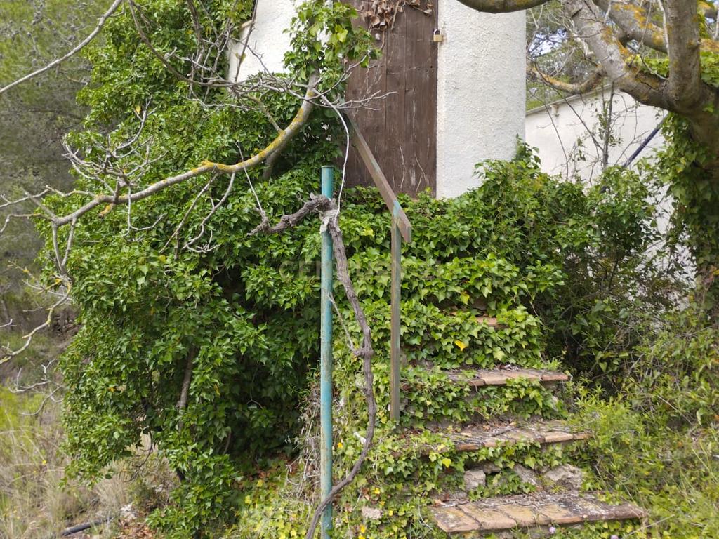 undefined - Image 7