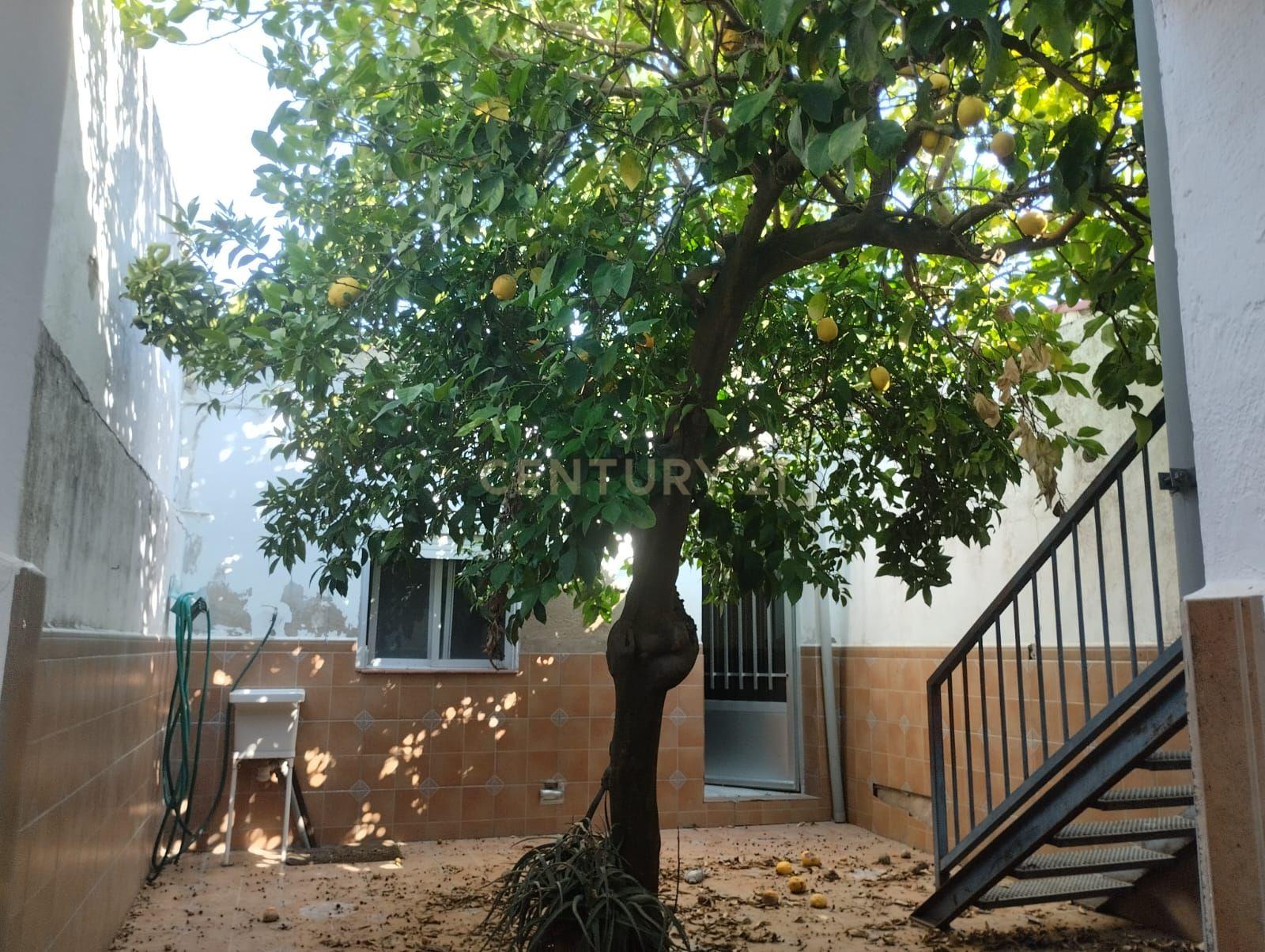 Apartamento - Image 16