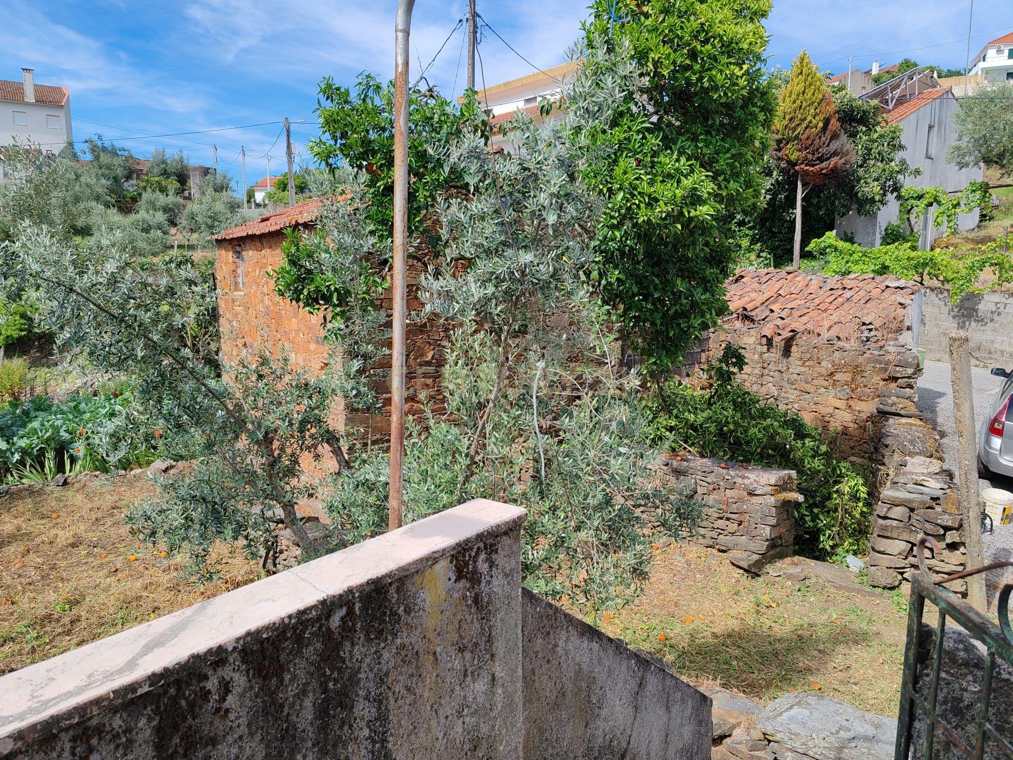 Propriedade à Venda em Vale d’Urso, Proença-a-Nova - Image 27