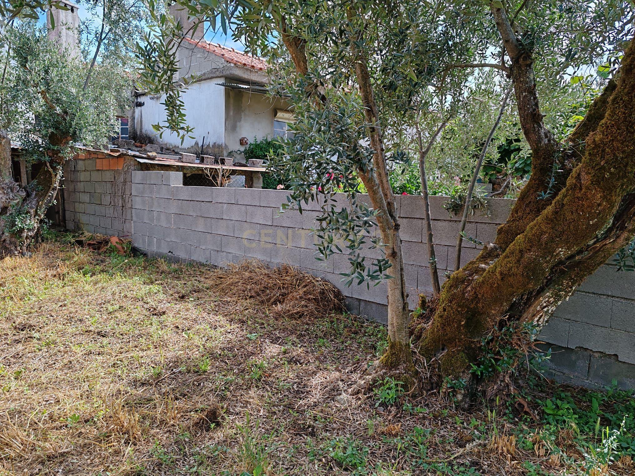 Propriedade à Venda em Vale d’Urso, Proença-a-Nova - Image 29