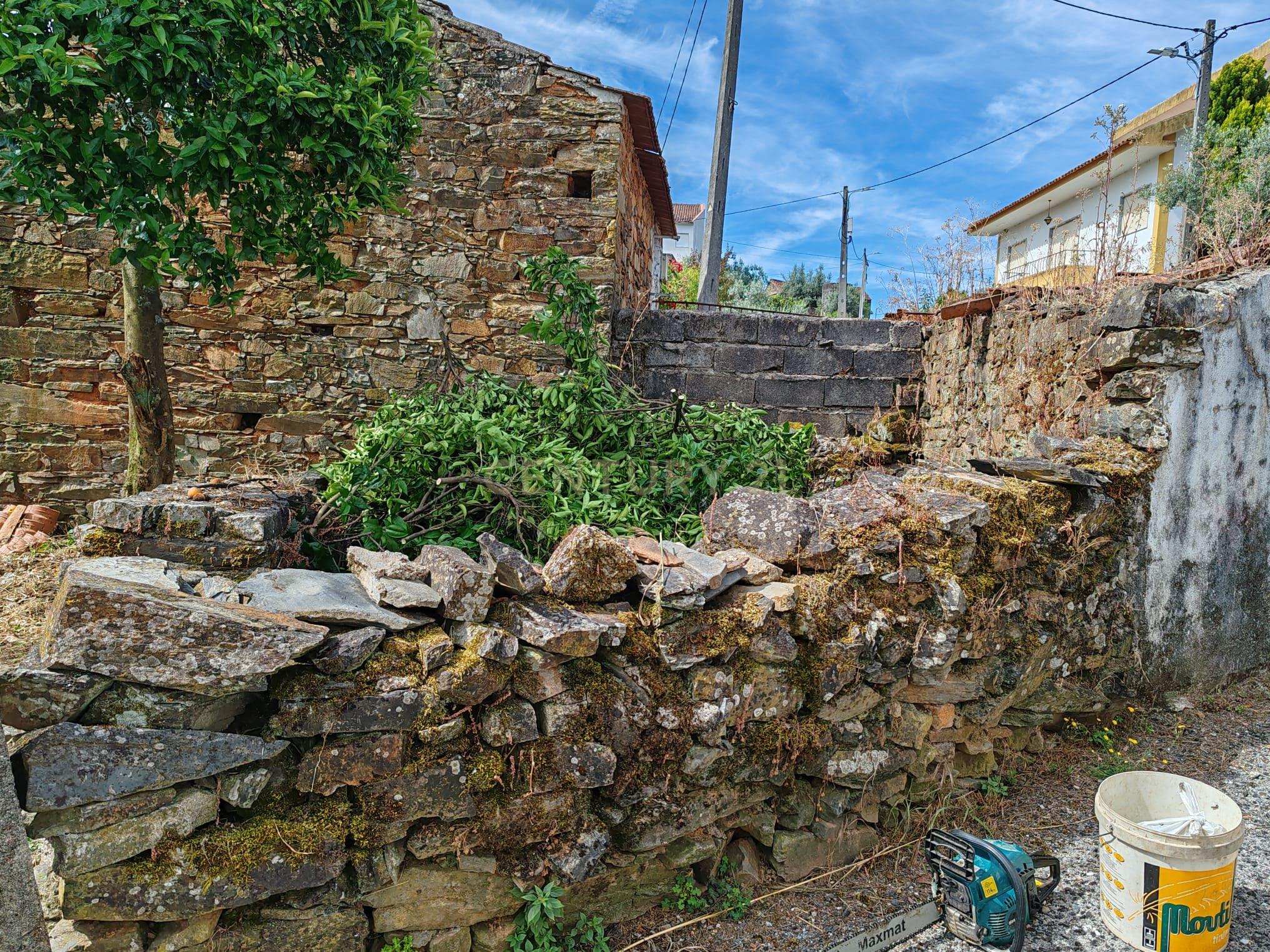 Propriedade à Venda em Vale d’Urso, Proença-a-Nova - Image 14