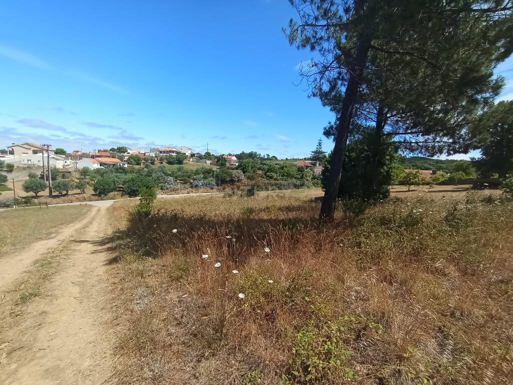 Terreno à venda em Serra e Junceira, Tomar - Image 4