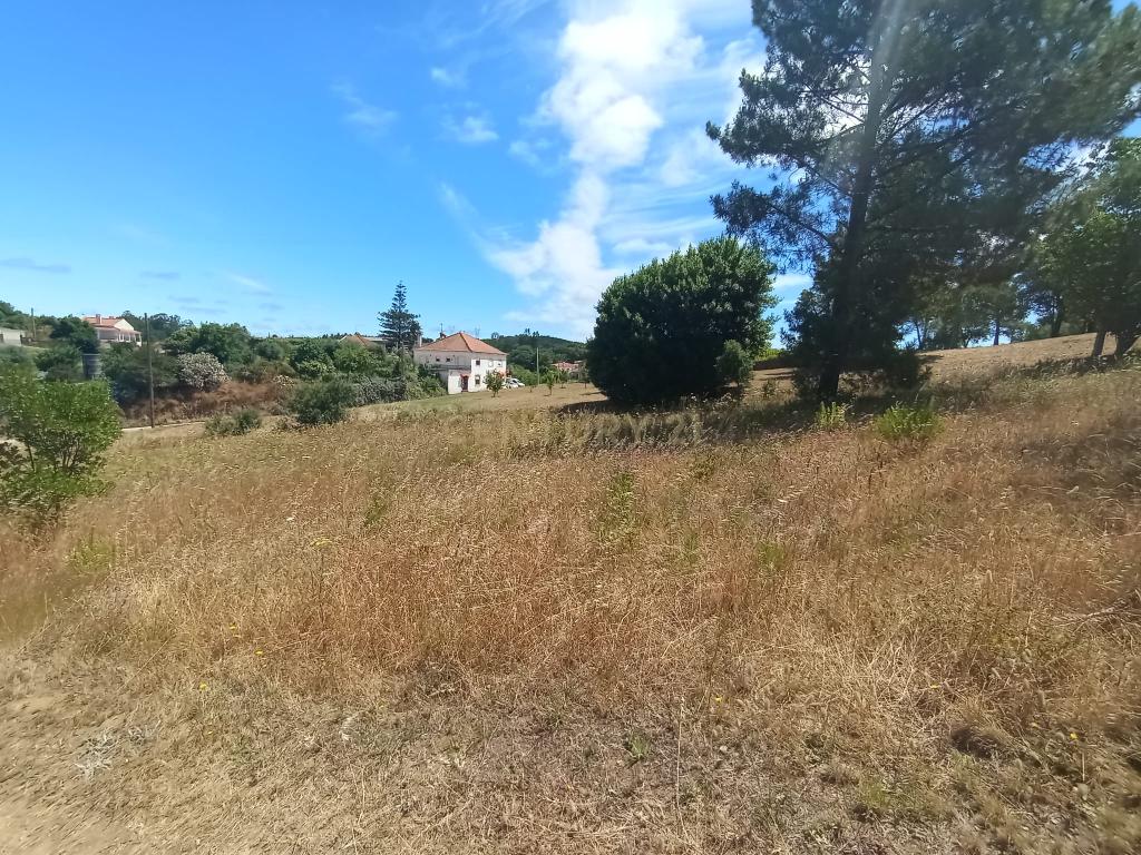 Terreno à venda em Serra e Junceira, Tomar - Image 7