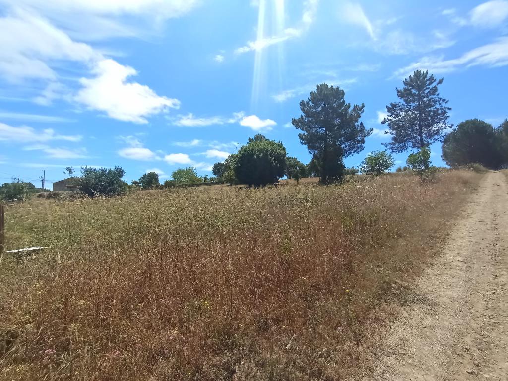 Terreno à venda em Serra e Junceira, Tomar - Image 6
