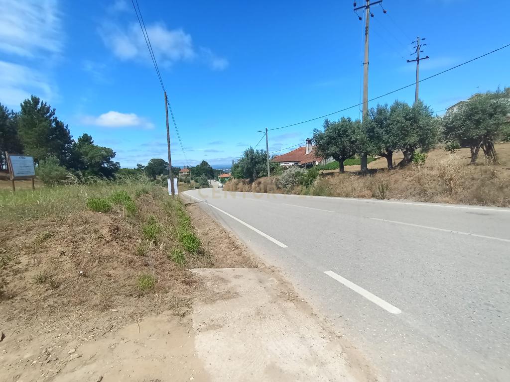 Terreno à venda em Serra e Junceira, Tomar - Image 9