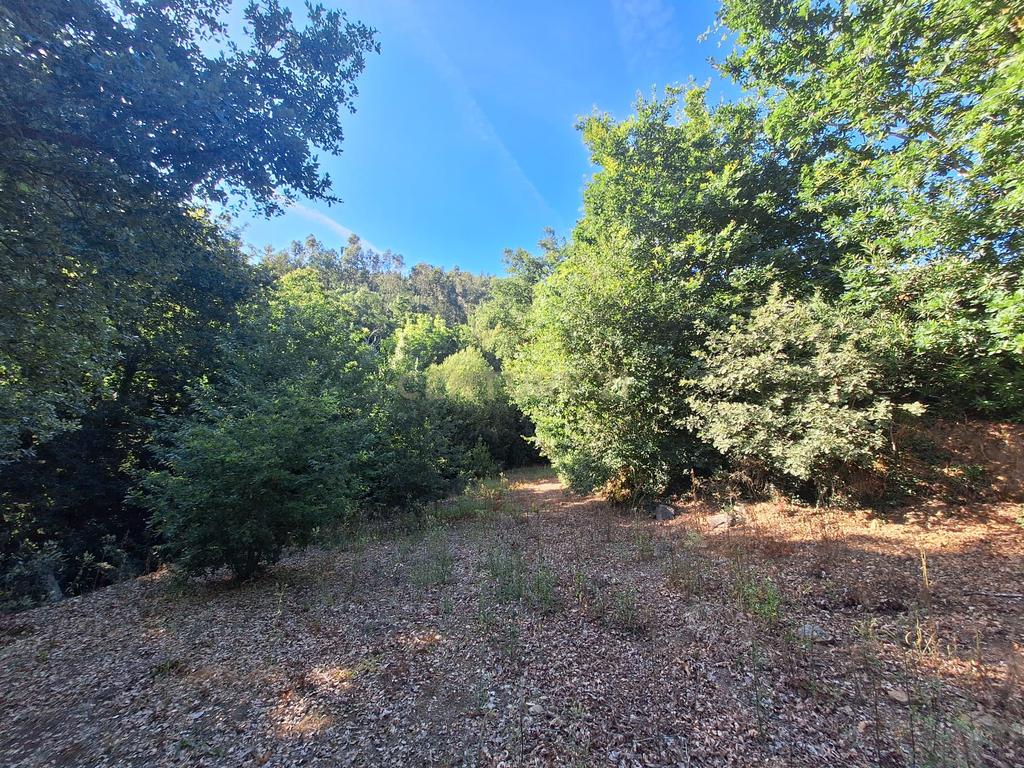 Terreno à Venda em Tropeço, Arouca - Image 3