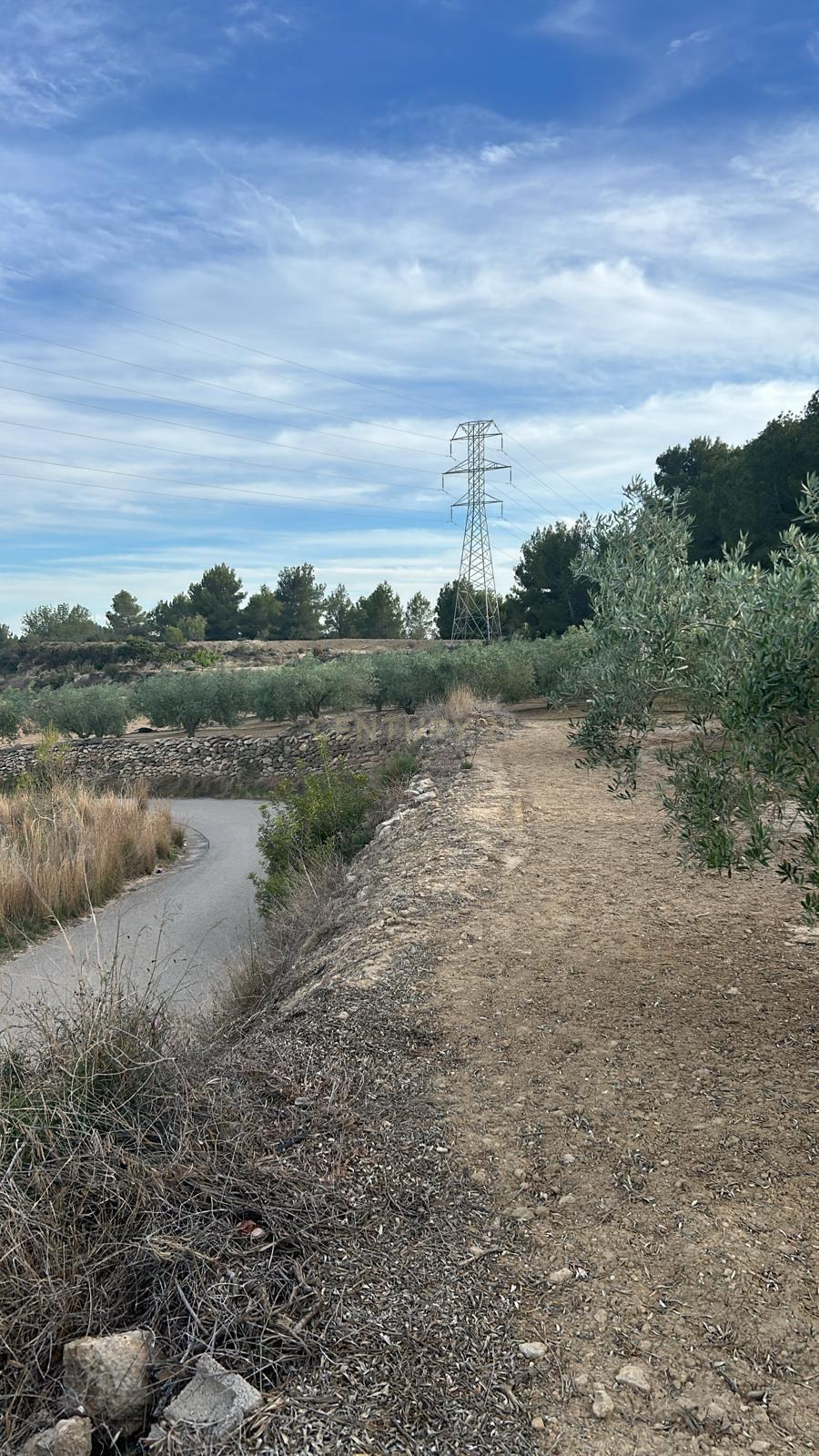 undefined - Image 6