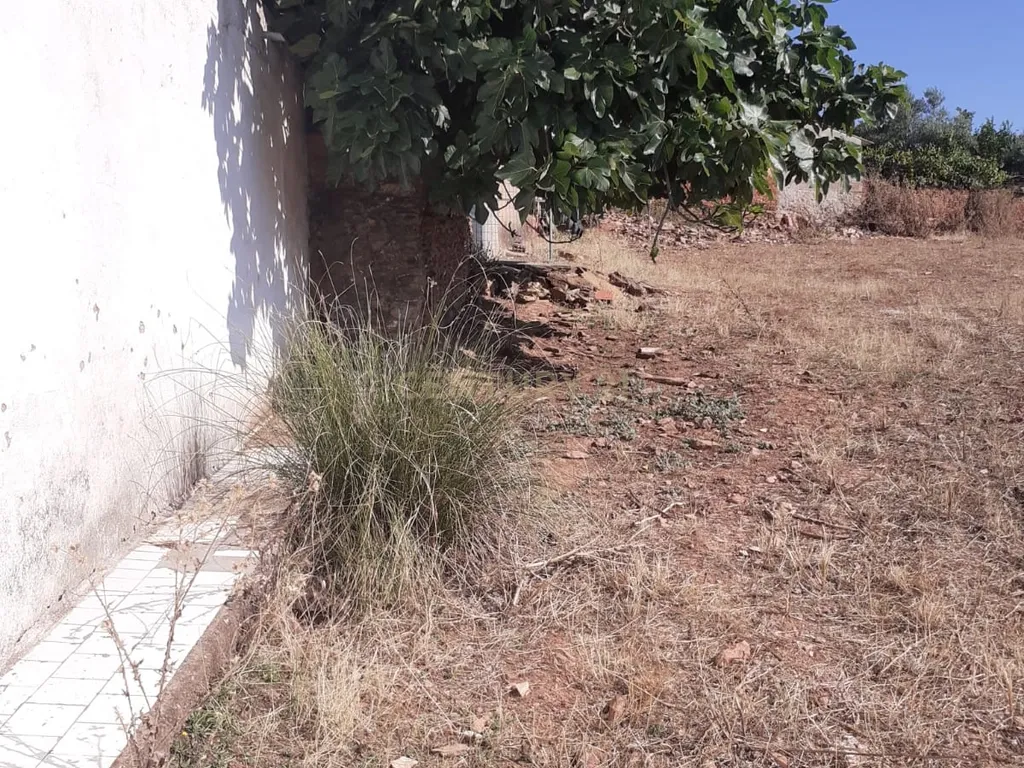 Moradia em Santo Antonio do Baldio, inserida num terreno URBANO de cerca 5.888 metros quadrados. - Image 38