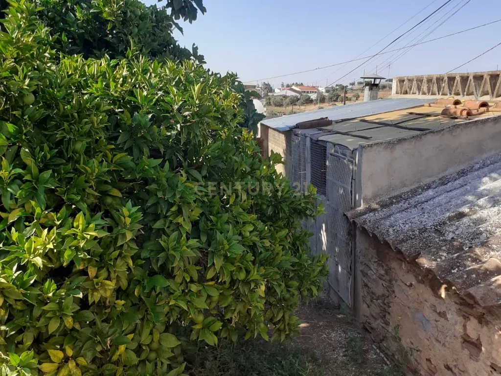 Moradia em Santo Antonio do Baldio, inserida num terreno URBANO de cerca 5.888 metros quadrados. - Image 39
