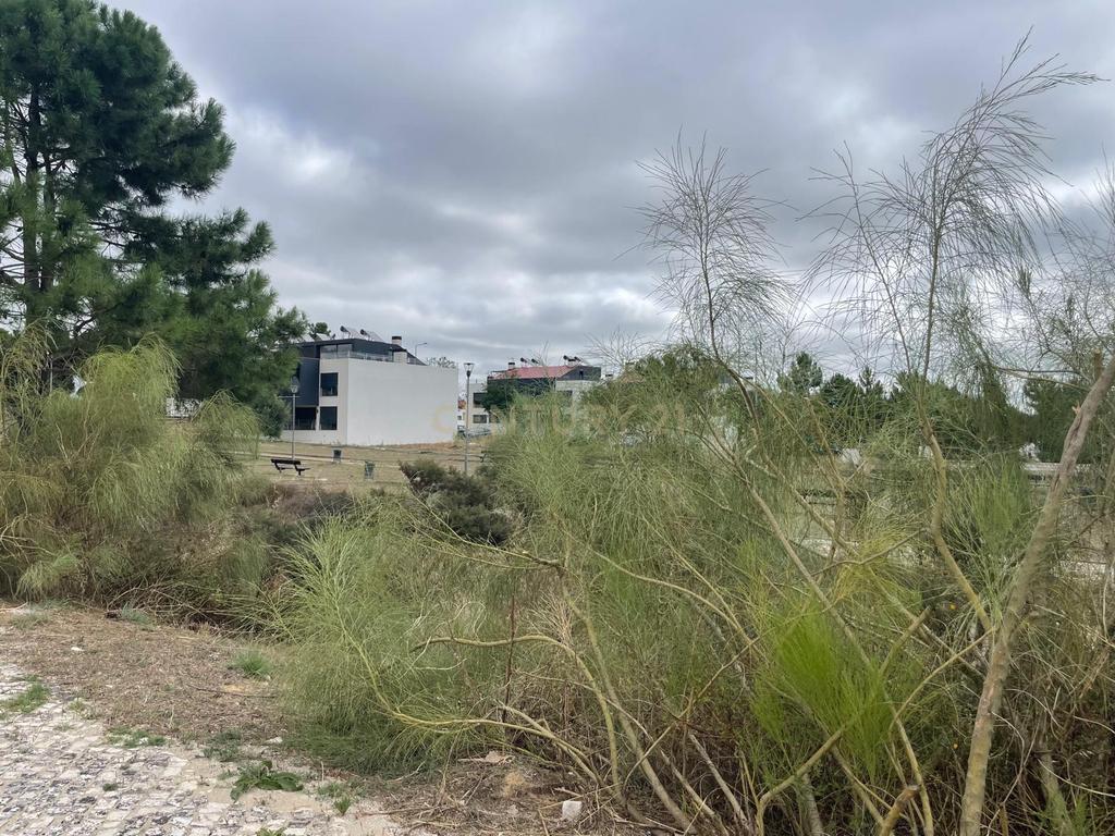Lote de terreno para construção de Moradia, Apartamentos e Loja ou apenas Apartamentos - em Aires, Palmela - Image 12