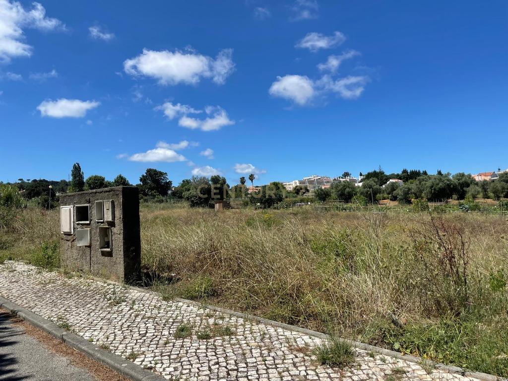 Lote (n.13) de Terreno para construção de moradia em Quinta do Texugo, em Sesimbra - Image 7